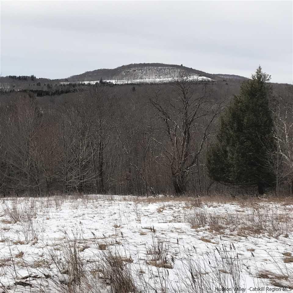Off Red Hill Knolls Road Grahamsville, NY 12740 - Photo 1 of 5 a view of wooden fence next to a lake