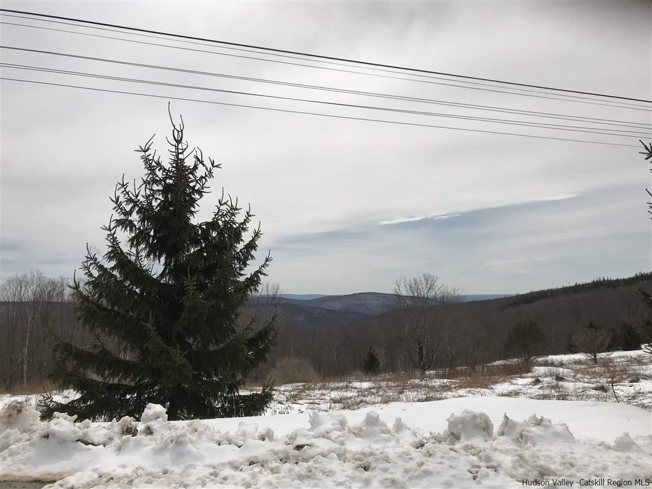 Off Red Hill Knolls Road Grahamsville, NY 12740 - Photo 2 of 5 a view of a snow on the road