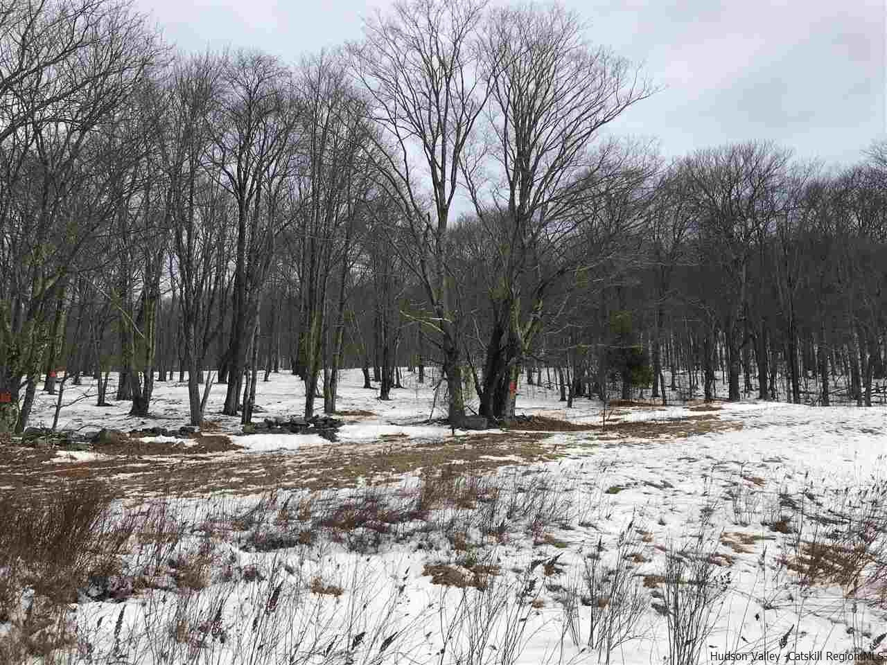 Off Red Hill Knolls Road Grahamsville, NY 12740 - Photo 4 of 5 a view of road with trees