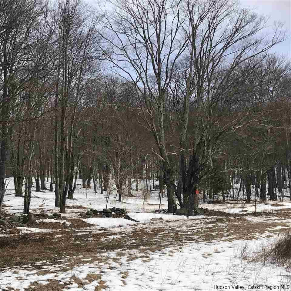Off Red Hill Knolls Road Grahamsville, NY 12740 - Photo 5 of 5 a view of a yard covered with snow on the road