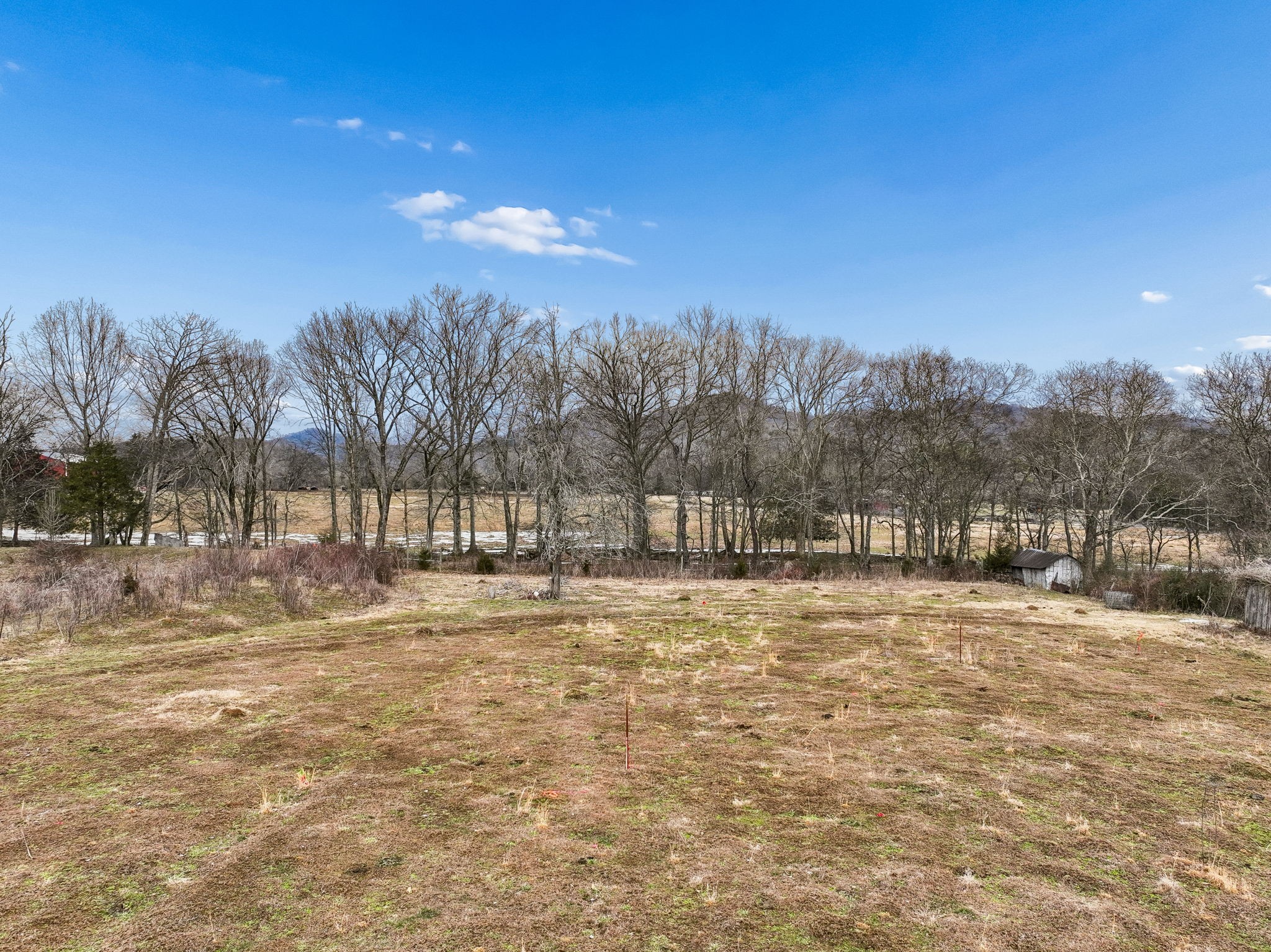 0 Greenvale Road Watertown, TN 37184 - Photo 3 of 18 a view of road with trees