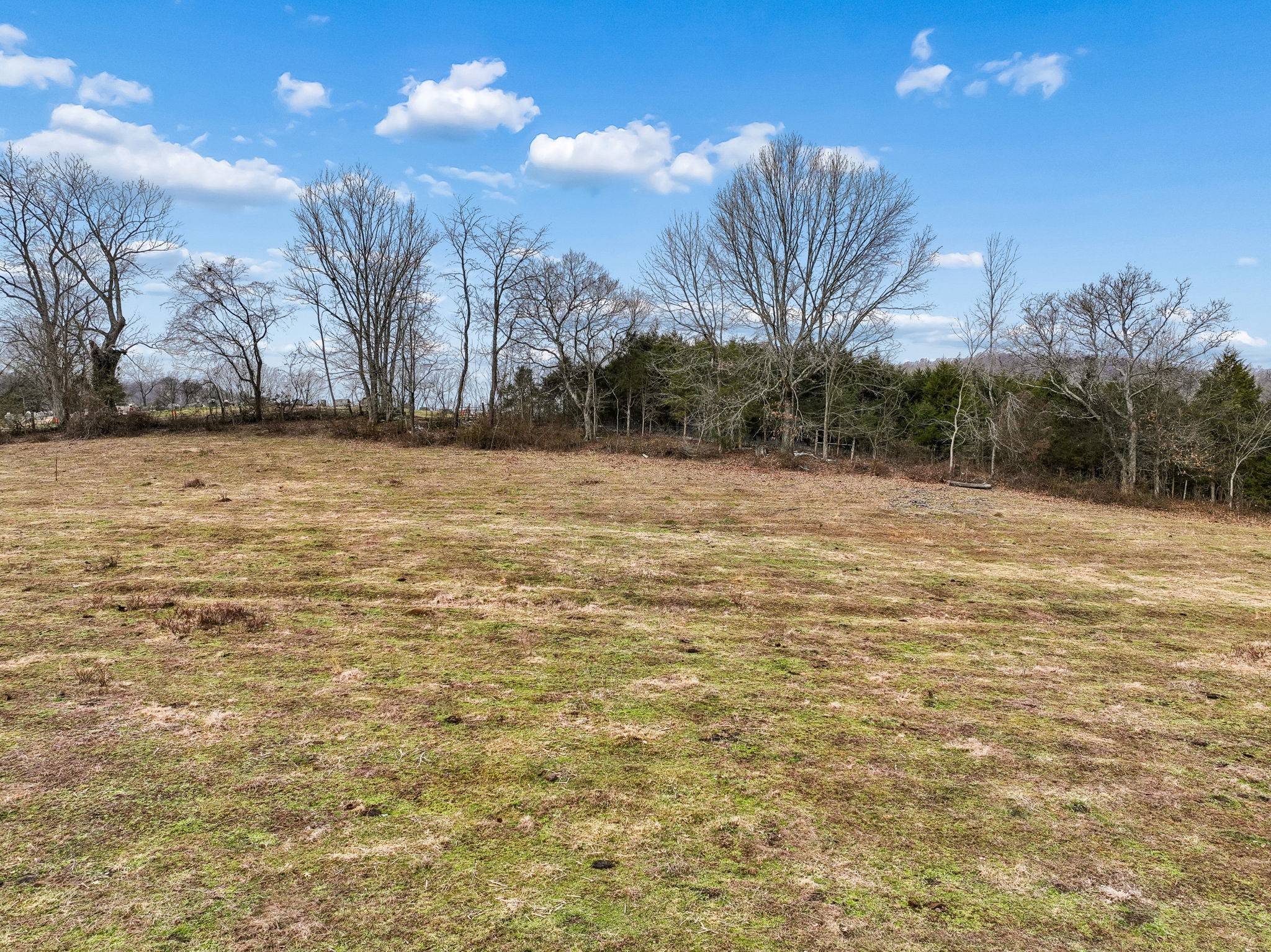 0 Greenvale Road Watertown, TN 37184 - Photo 5 of 18 a view of a yard with a house
