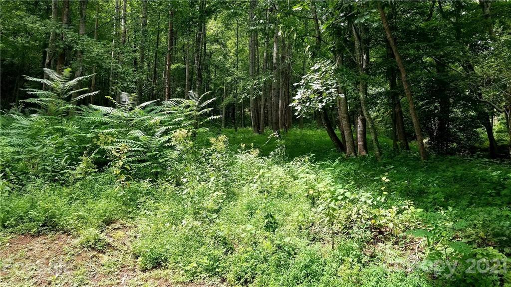 0 Blue Ridge Drive North, Unit 217 Marion, NC 28752 - Photo 10 of 12