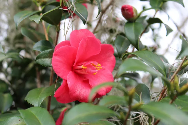 $74,900 | 191 Southwest Crosby Avenue, Madison, FL 32340