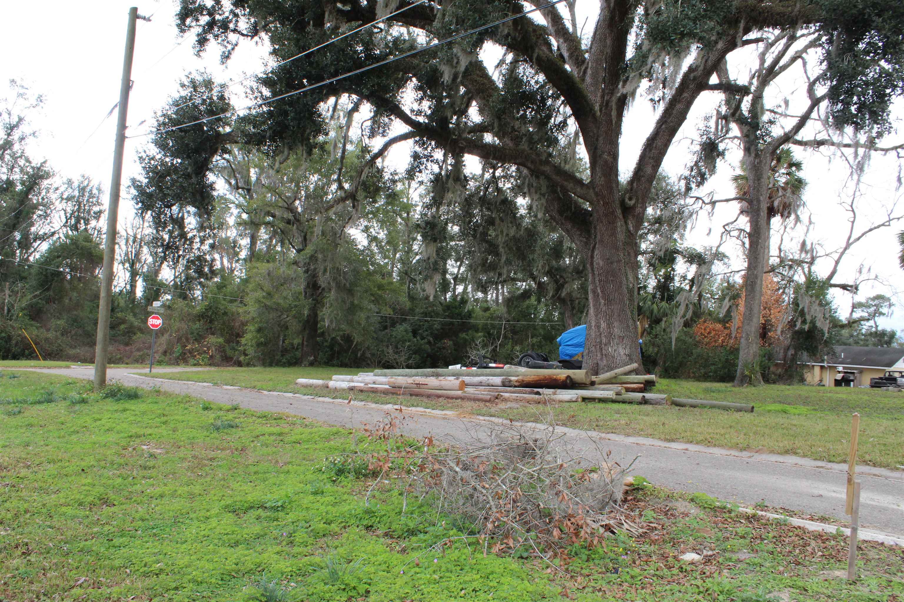 191 Southwest Crosby Avenue Madison, FL 32340 - Photo 16 of 52