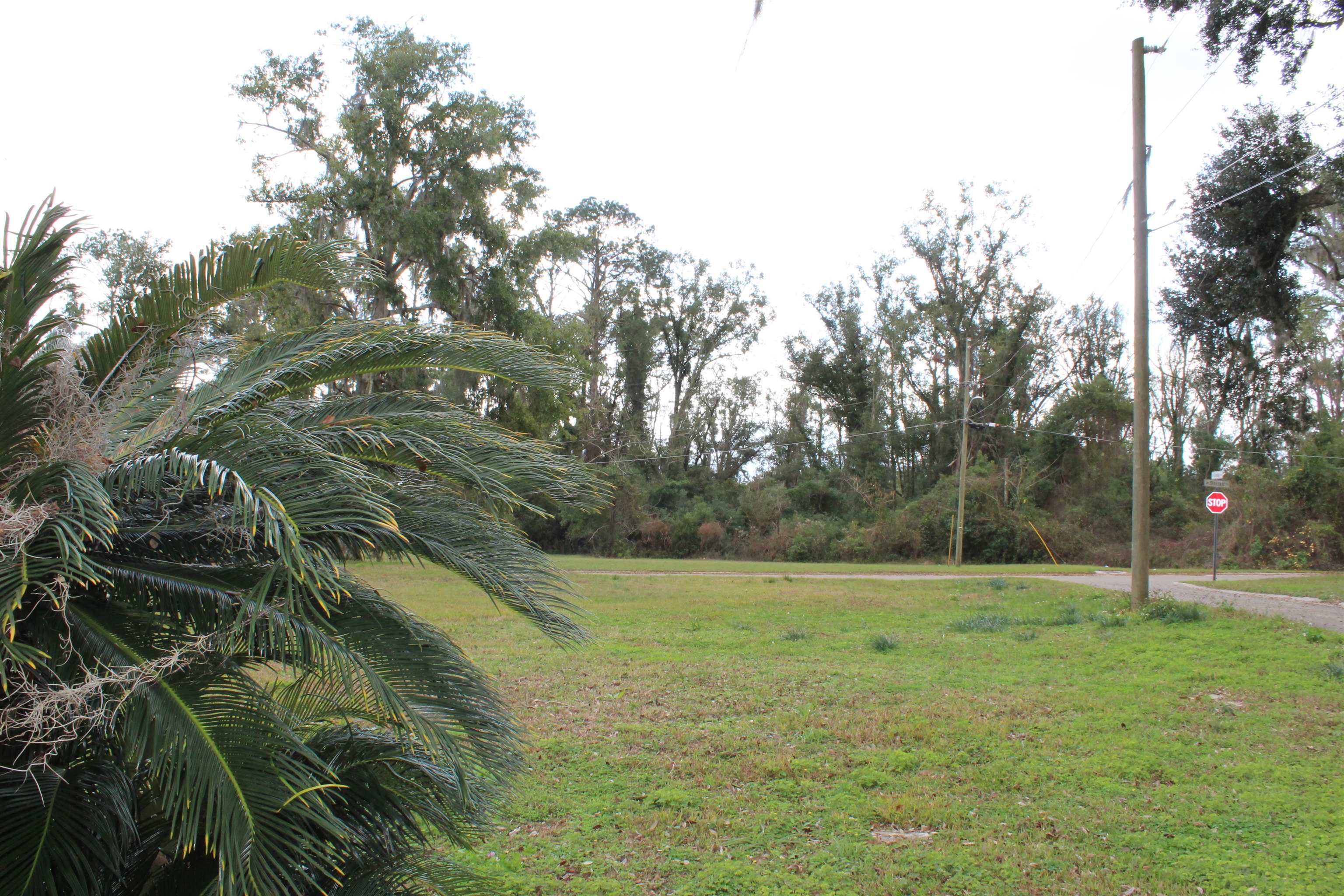 191 Southwest Crosby Avenue Madison, FL 32340 - Photo 17 of 52