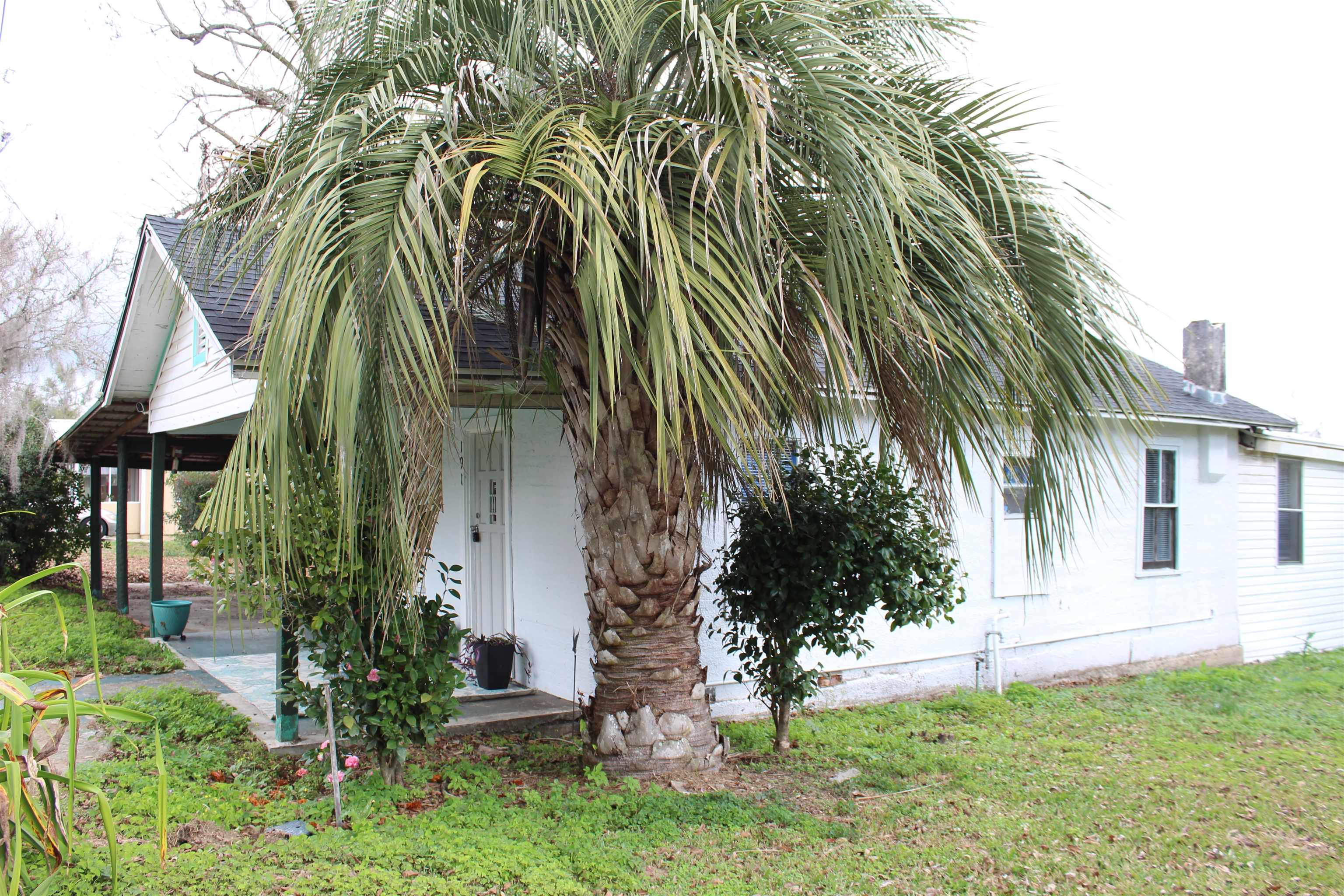 191 Southwest Crosby Avenue Madison, FL 32340 - Photo 7 of 52