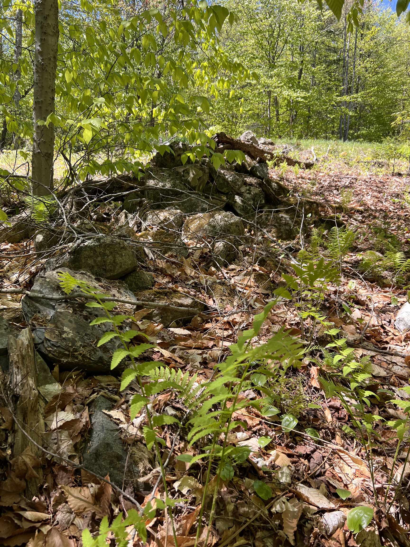 0 High Ridge Road Waterford, VT 05819 - Photo 10 of 12 Gallery Image 10