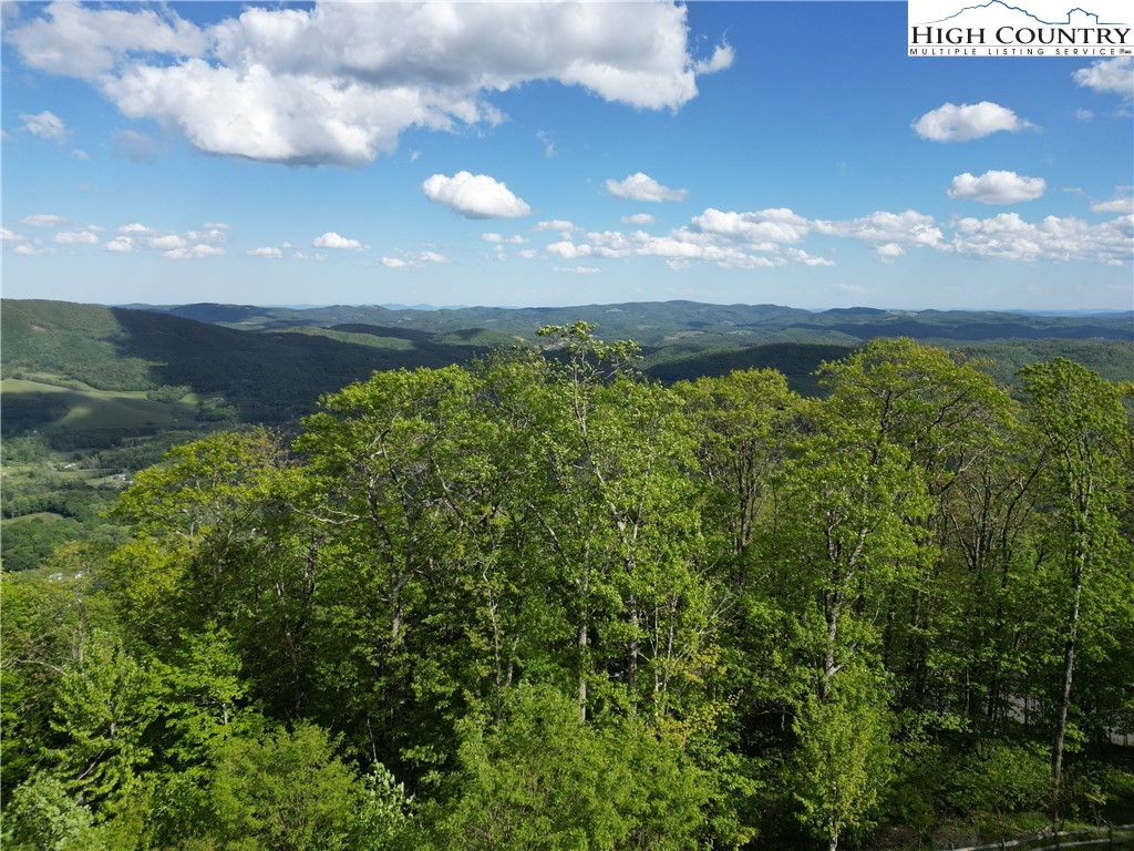 222 West Big Tree Road West Jefferson, NC 28694 - Photo 41 of 44 Gallery Image 41