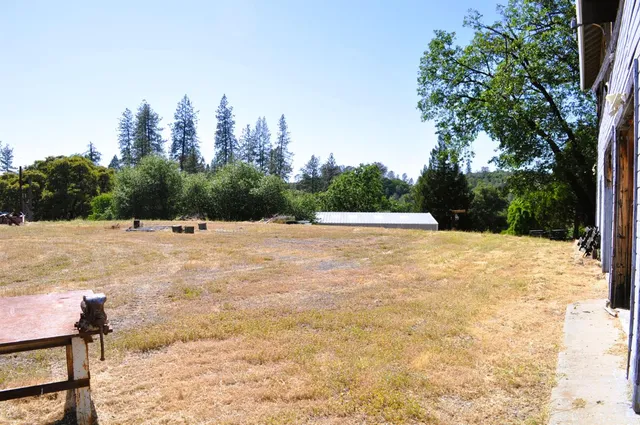 a view of yard with trees