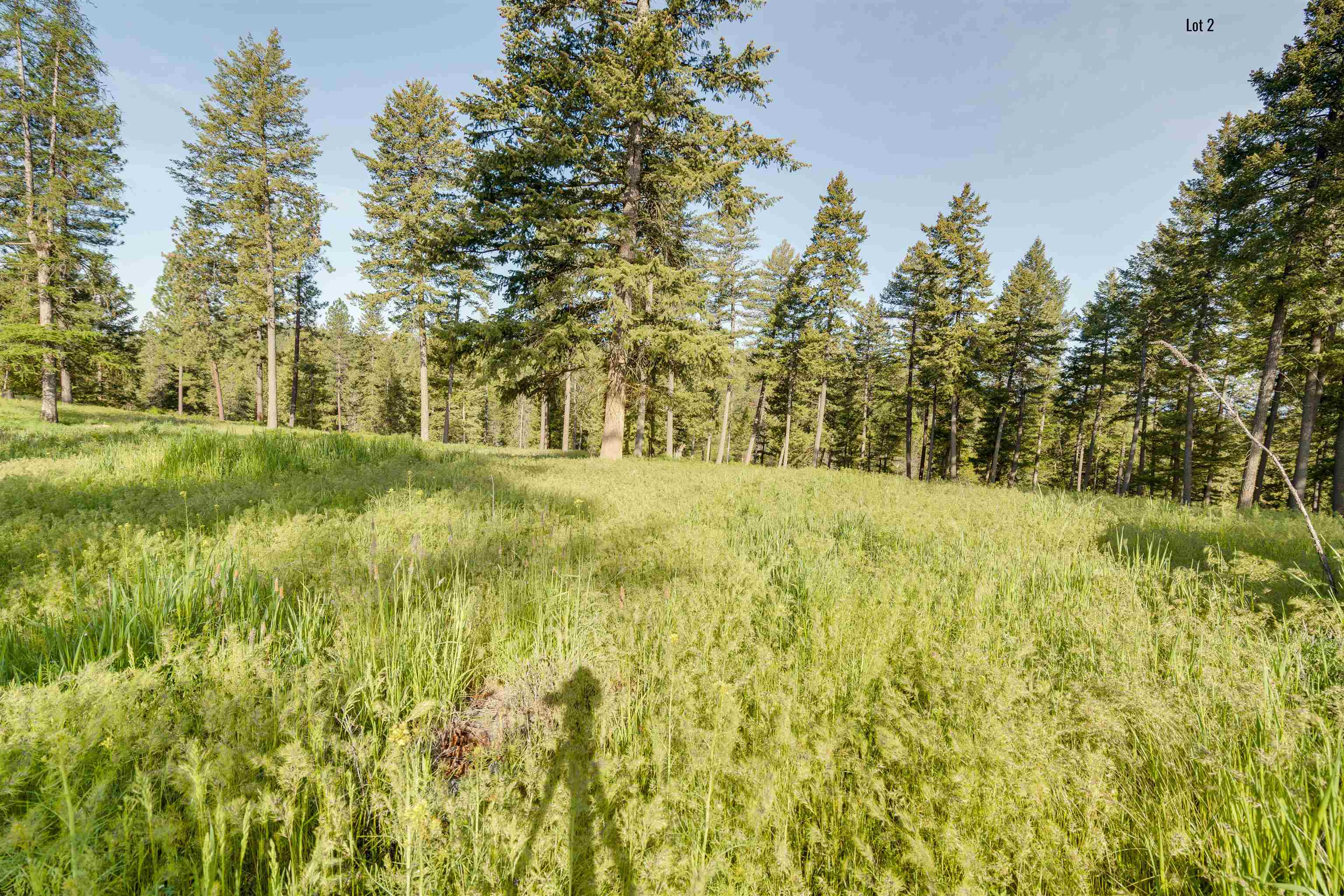 3725 East Jump Off Road, Unit LOT 2 Valley, WA 99181 - Photo 5 of 9