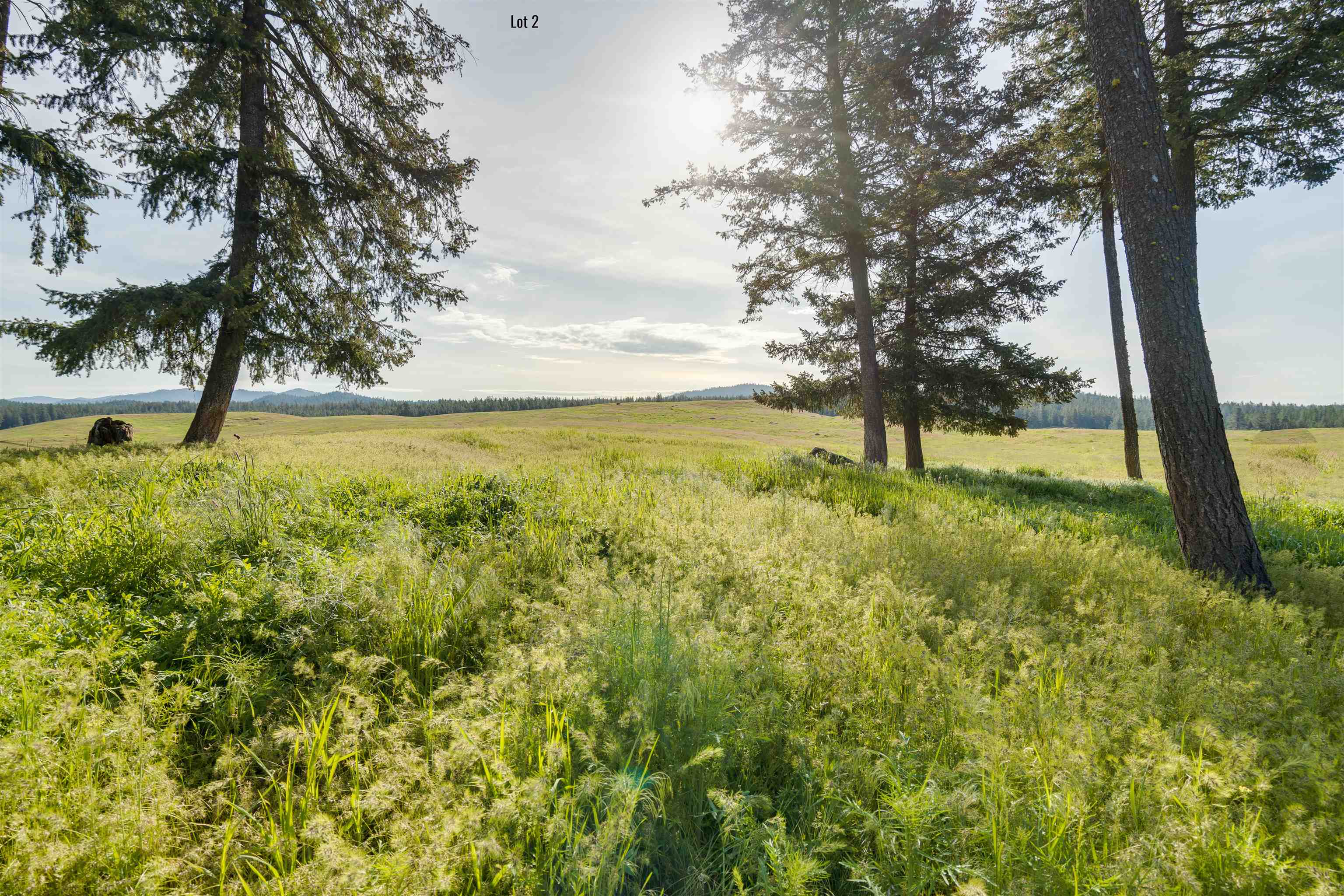 3725 East Jump Off Road, Unit LOT 2 Valley, WA 99181 - Photo 6 of 9