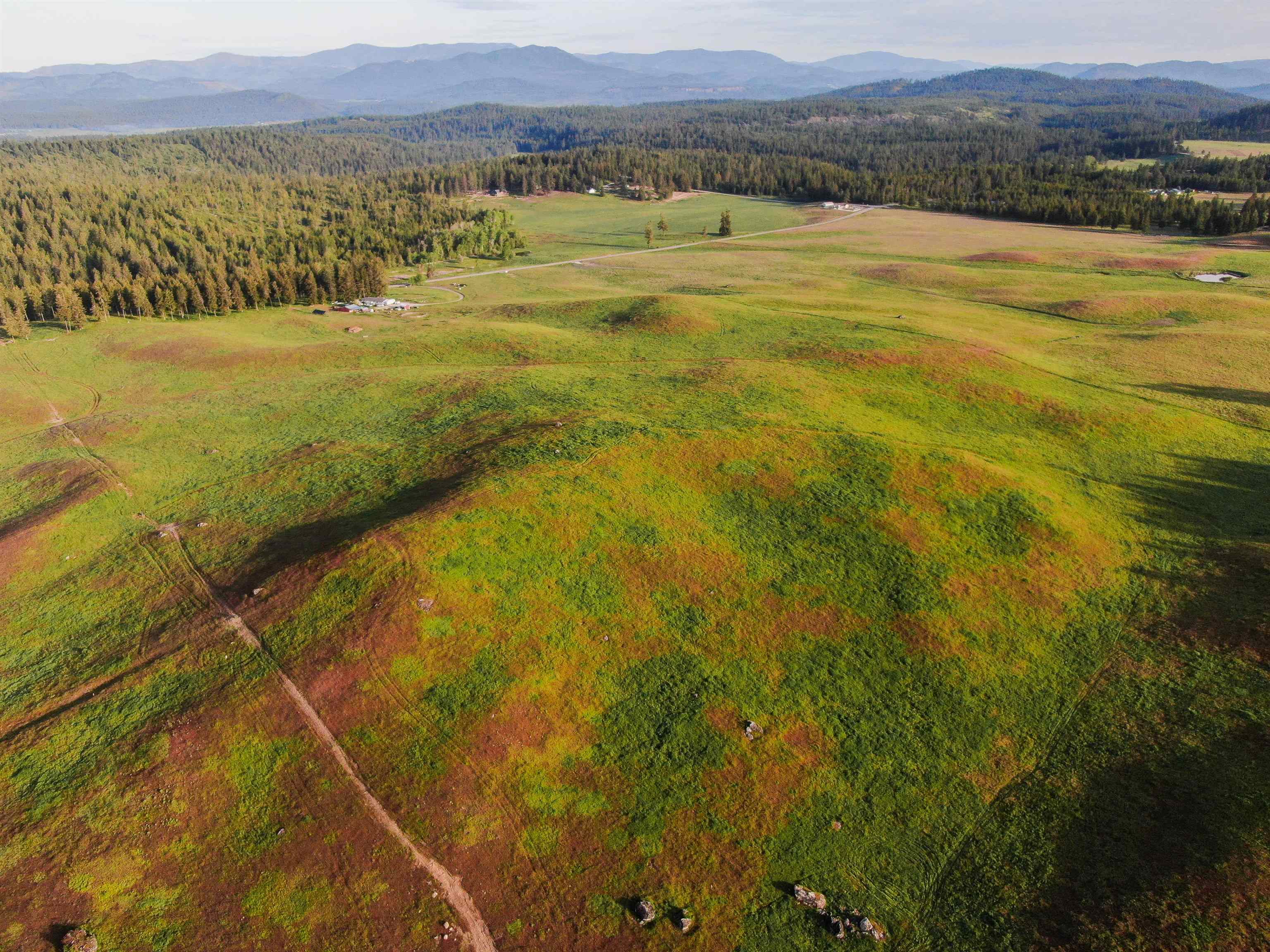 3725 East Jump Off Road, Unit LOT 2 Valley, WA 99181 - Photo 8 of 9