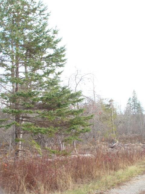 0 Pottle Road Perry, ME 04667 - Photo 5 of 6 Photo