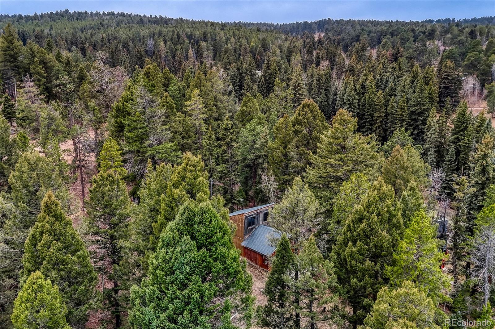 12096 South Elk Trail Road Conifer, CO 80433 - Photo 6 of 9