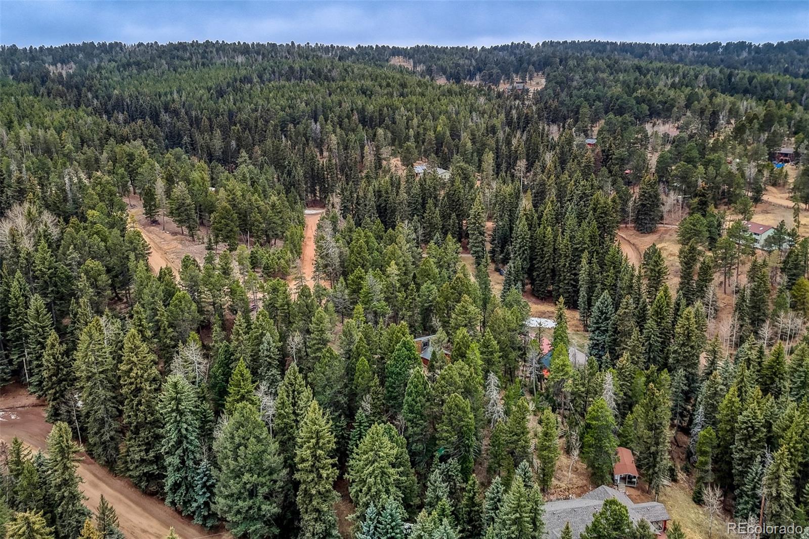 12096 South Elk Trail Road Conifer, CO 80433 - Photo 7 of 9