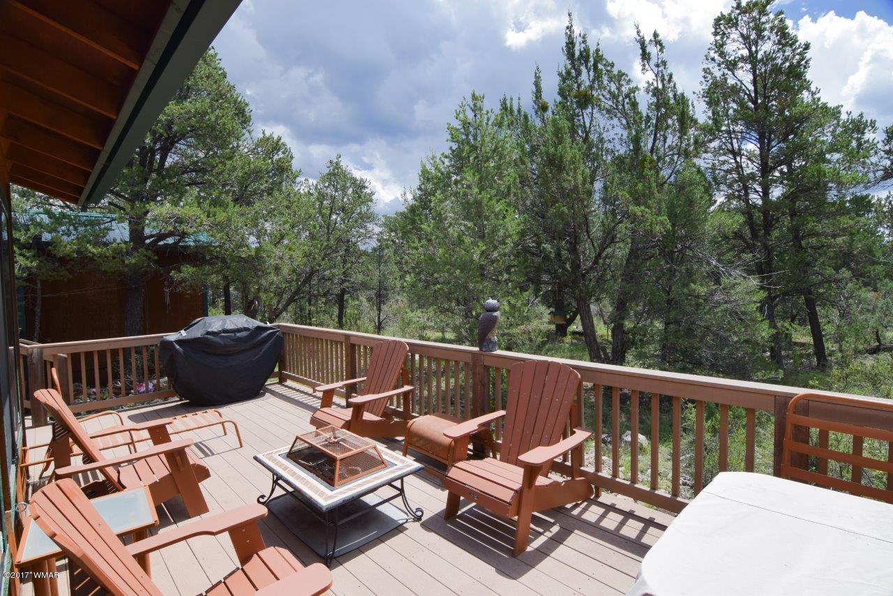 2845 Deer Trail Overgaard, AZ 85933 - Photo 19 of 34 Gallery Image 19