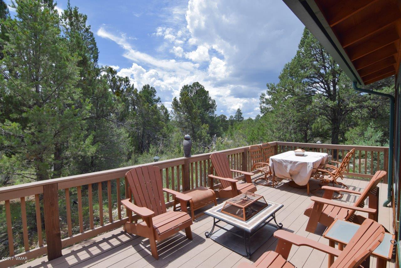 2845 Deer Trail Overgaard, AZ 85933 - Photo 5 of 34 Gallery Image 5