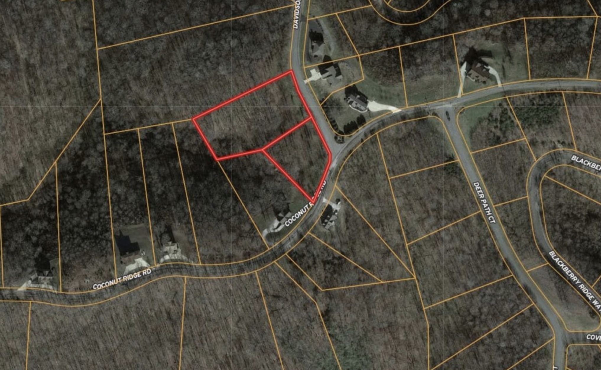 0 Davidson Road Smithville, TN 37166 - Photo 1 of 5