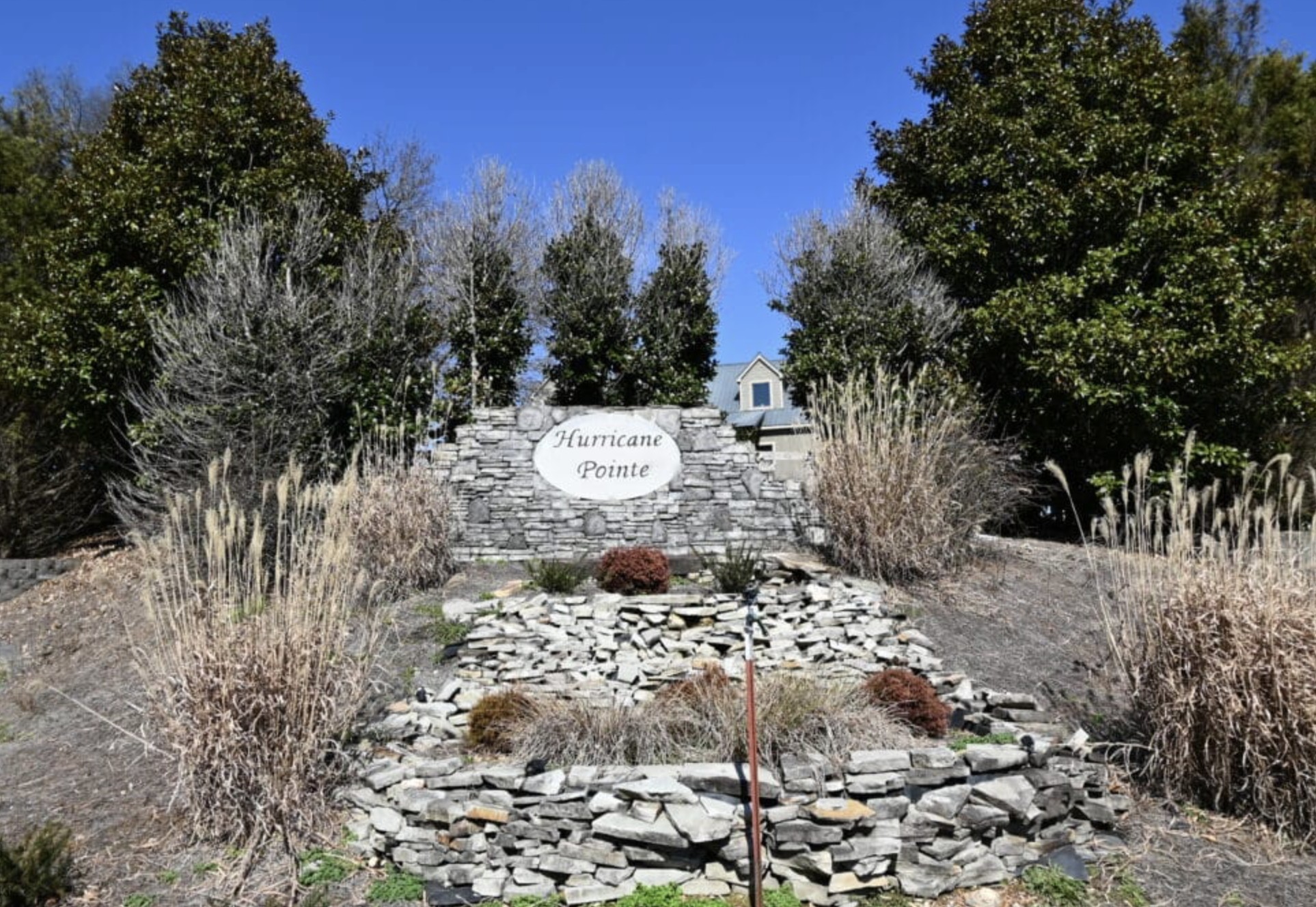 0 Davidson Road Smithville, TN 37166 - Photo 4 of 5 a view of a back yard