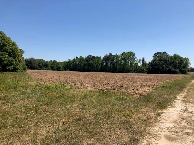 5588 Jumping Gully Road Valdosta, GA 31601 - Photo 1 of 3 Gallery Image 1