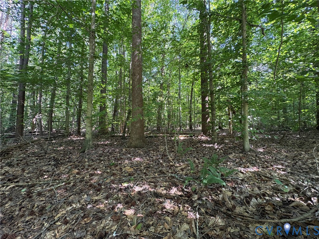 0 Roundabout Road Louisa, VA 23093 - Photo 6 of 7 Gallery Image 6