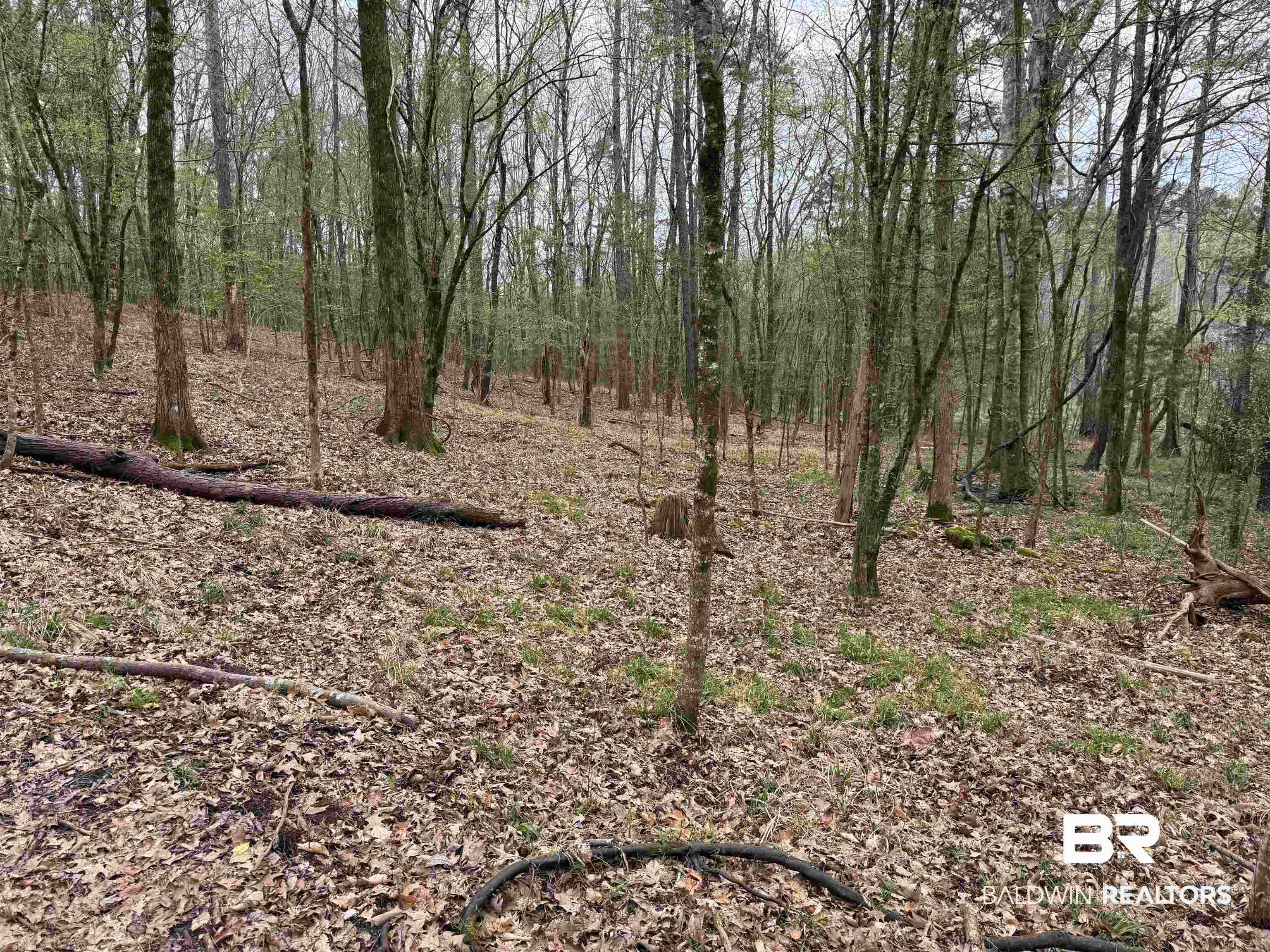 0 Cement Plant Road Jackson, AL 36545 - Photo 5 of 22