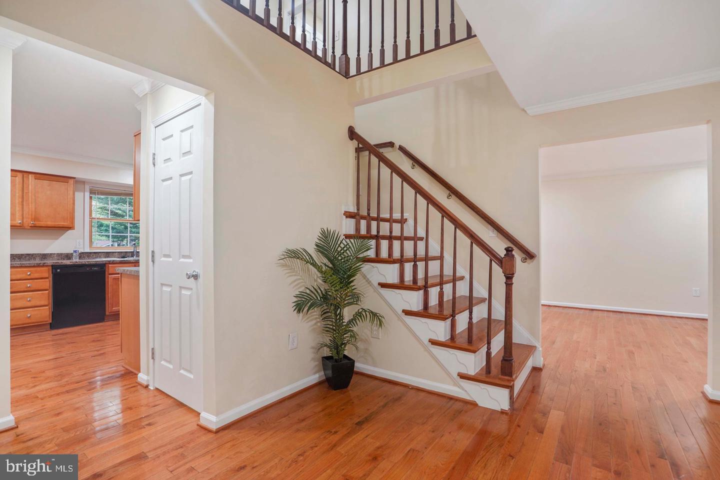 5105 Pheasant Road Fairfax, VA 22030 - Photo 3 of 32 Inviting entryway with elegant staircase.