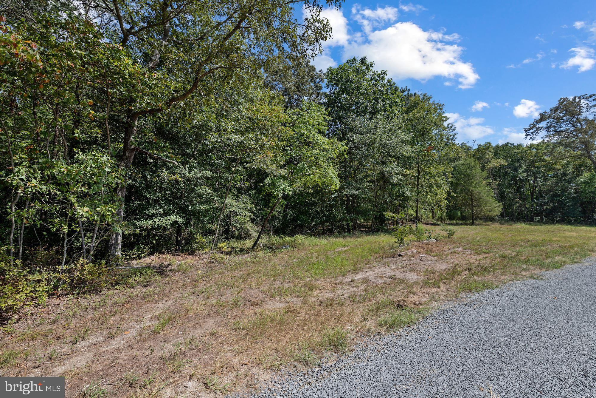 24268 Deep Branch Road Georgetown, DE 19947 - Photo 28 of 29 Gallery Image 28