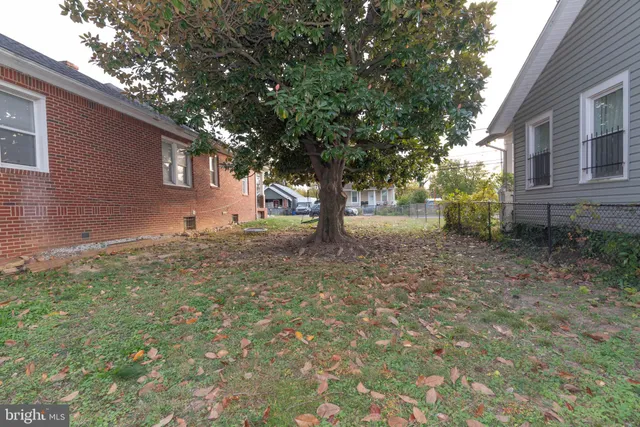 a view of tree in front of a house