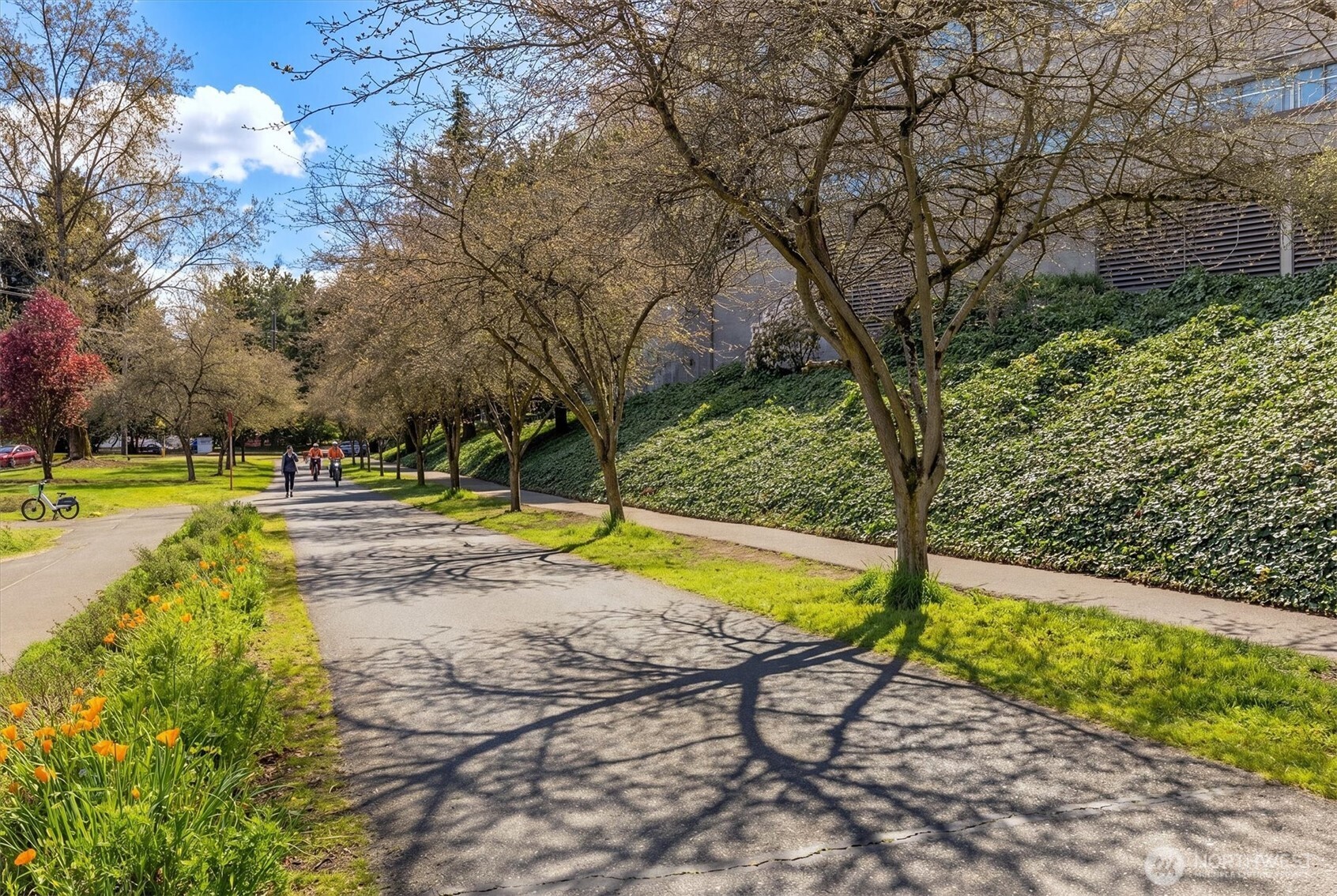 3300 Meridian Avenue North, Unit 409 Seattle, WA 98103 - Photo 34 of 38