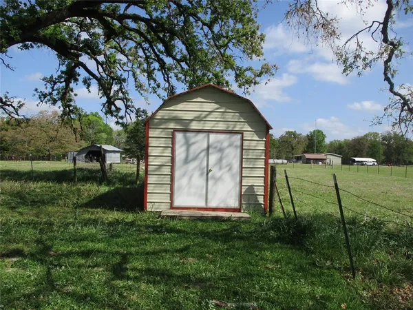 a view of a garden with a tree