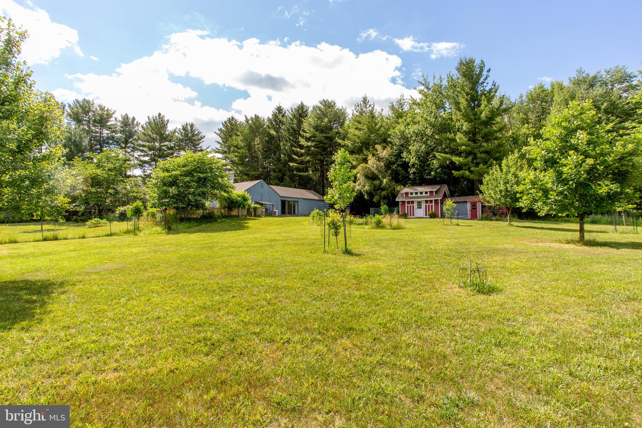 1024 Cokesbury Califon Road Lebanon, NJ 08833 - Photo 35 of 47 Backyard