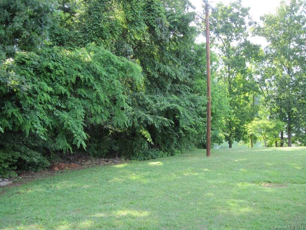 Lot #24 Unity Church Road Denver, NC 28037 - Photo 3 of 14 Gallery Image 3