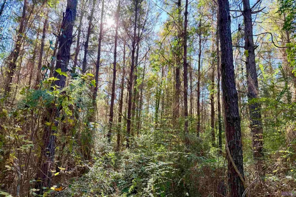 $177,786 | 1 Bobcat Lane, Roseland, LA 70456
