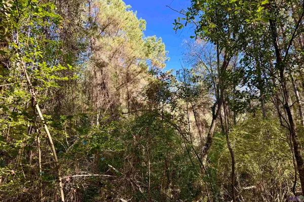 $177,786 | 1 Bobcat Lane, Roseland, LA 70456