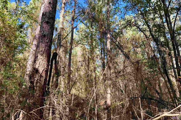 $177,786 | 1 Bobcat Lane, Roseland, LA 70456