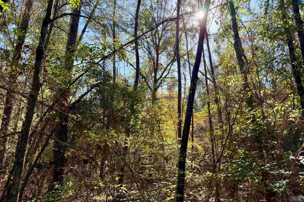 $177,786 | 1 Bobcat Lane, Roseland, LA 70456