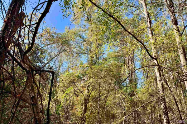 $177,786 | 1 Bobcat Lane, Roseland, LA 70456