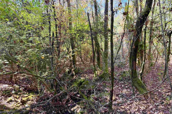 $177,786 | 1 Bobcat Lane, Roseland, LA 70456