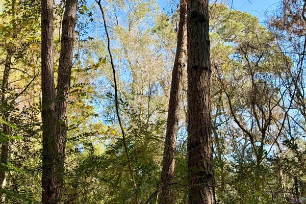 $177,786 | 1 Bobcat Lane, Roseland, LA 70456