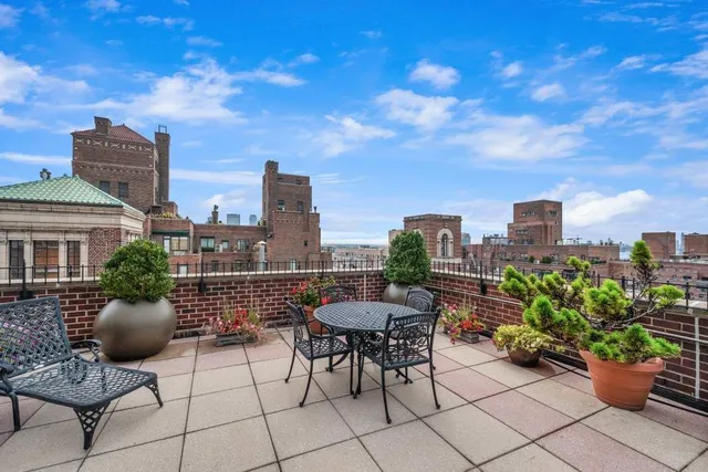 a view of a terrace with furniture and a potted plant