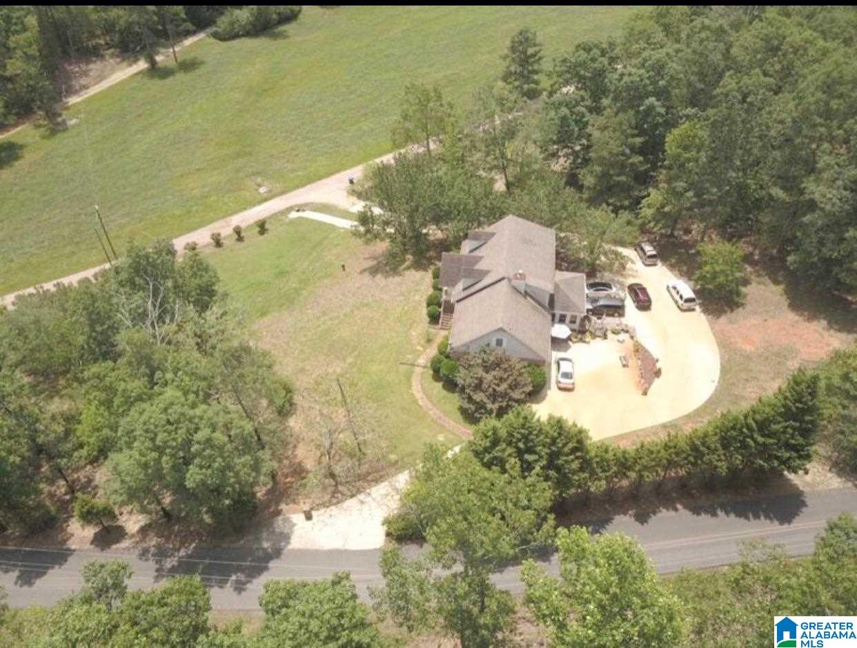101 Sawyer Mountain Road Oneonta, AL 35121 - Photo 4 of 29