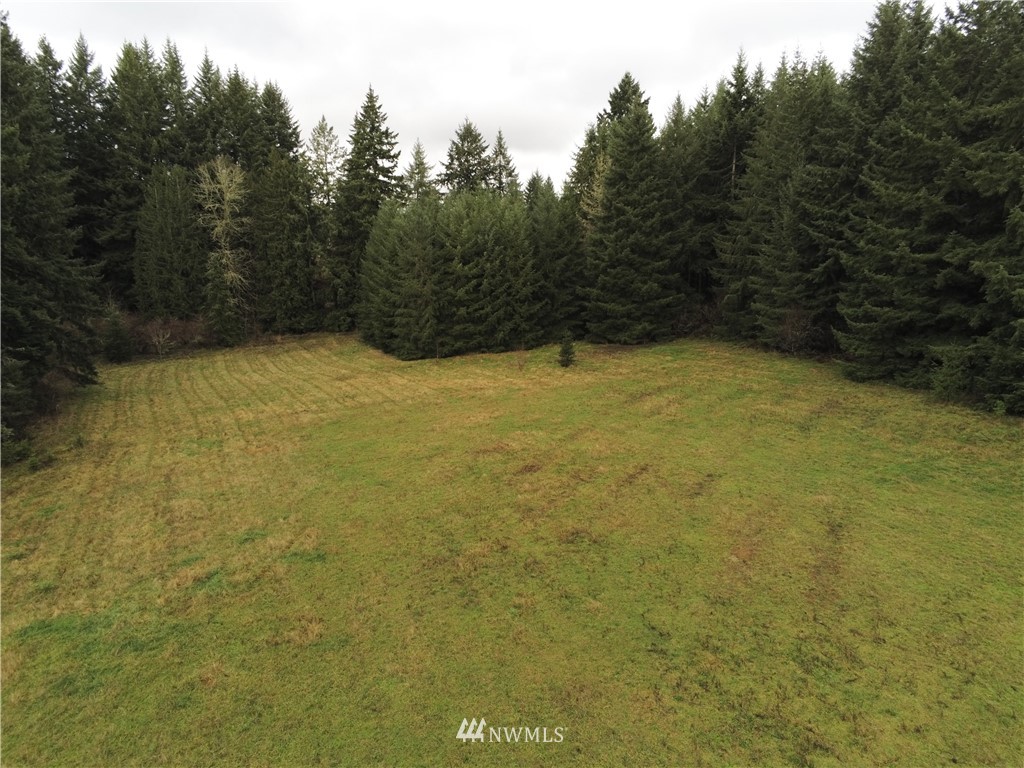 557 Nevil Road Winlock, WA 98596 - Photo 15 of 18