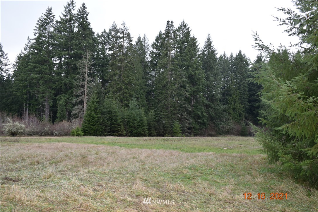 557 Nevil Road Winlock, WA 98596 - Photo 17 of 18