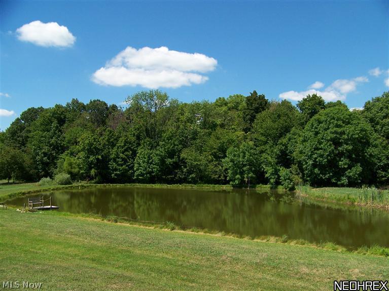 10763 Jones Road Litchfield, OH 44253 - Photo 20 of 20 Gallery Image 20