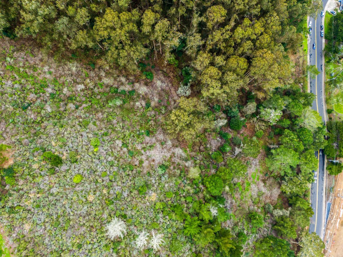 0 Everglades Drive Pacifica, CA 94044 - Photo 12 of 29