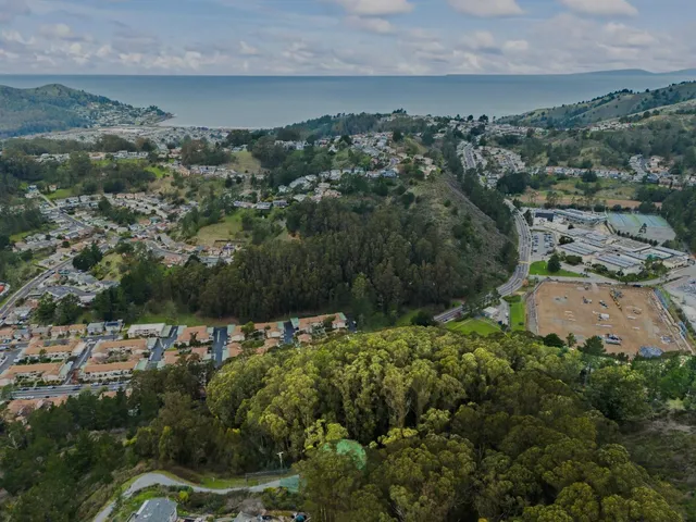 an aerial view of a residential houses and mountain view in back