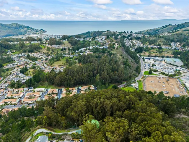 an aerial view of residential houses with outdoor space and trees