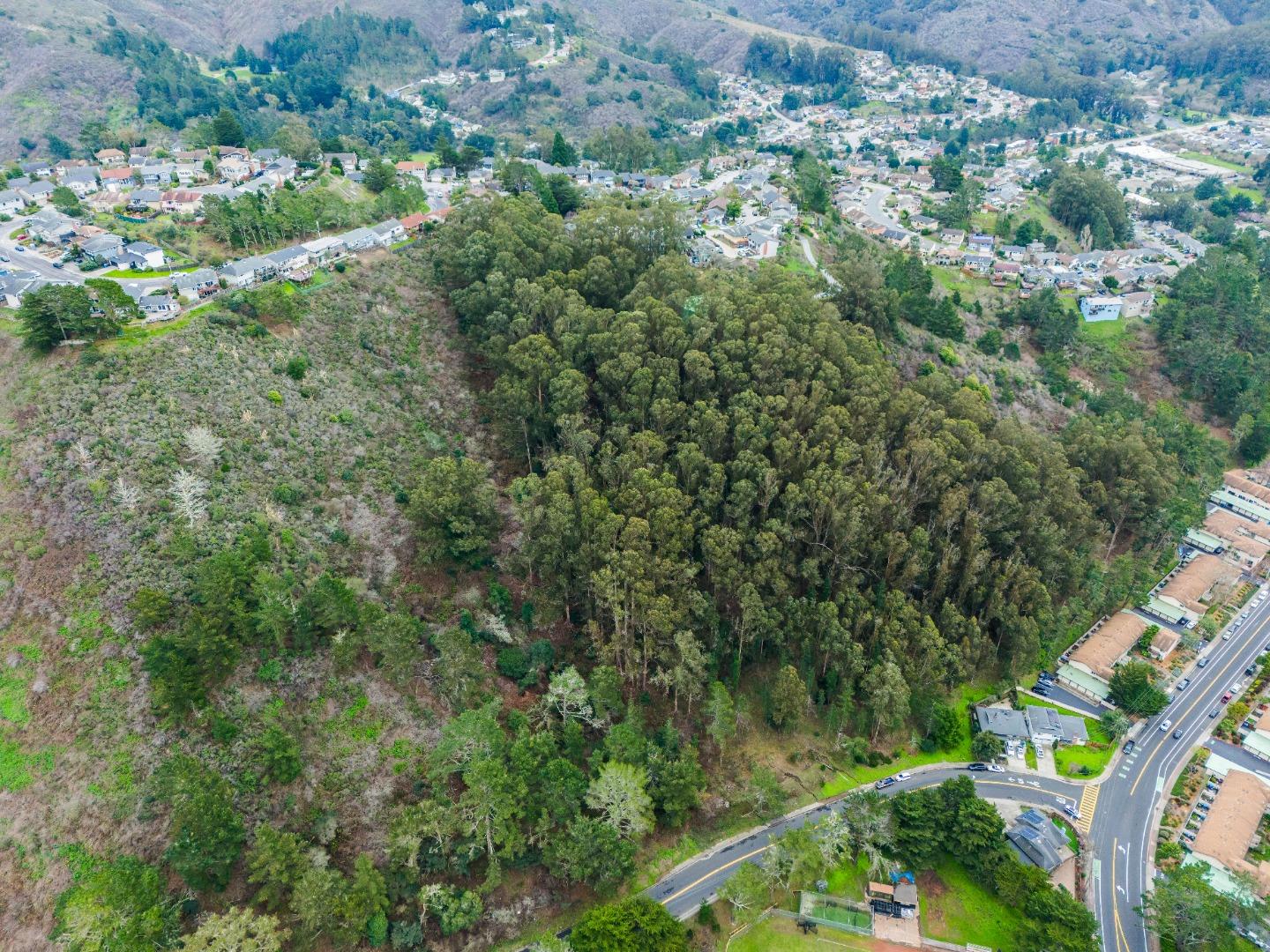0 Everglades Drive Pacifica, CA 94044 - Photo 27 of 29 an aerial view of residential house with outdoor space and trees all around